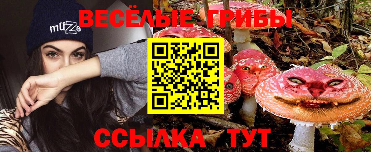 Псилоцибиновые грибы мицелий Кызыл