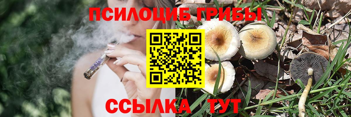 Псилоцибиновые грибы мицелий  Вход с VPN  Псилоцибиновые грибы Cubensis  Кызыл 